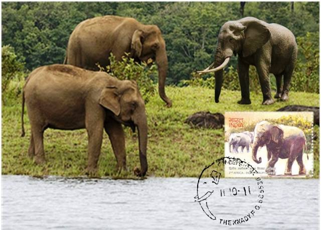 [final%2520maxim%255B7%255D.jpg]