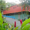 P1010047.jpg