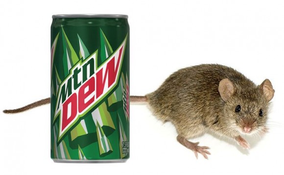 mountain_dew_mouse.jpg