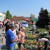 viragvasar_2010_26.jpg
