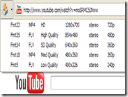Scaricare i video di YouTube nel PC in 3GP, FLV, MP4, HD, Full HD con Firefox