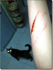 tumblr_mo3sw4sgCa1rtntrso1_500 tumblr_mo3sw4sgCa1rtntrso1_500