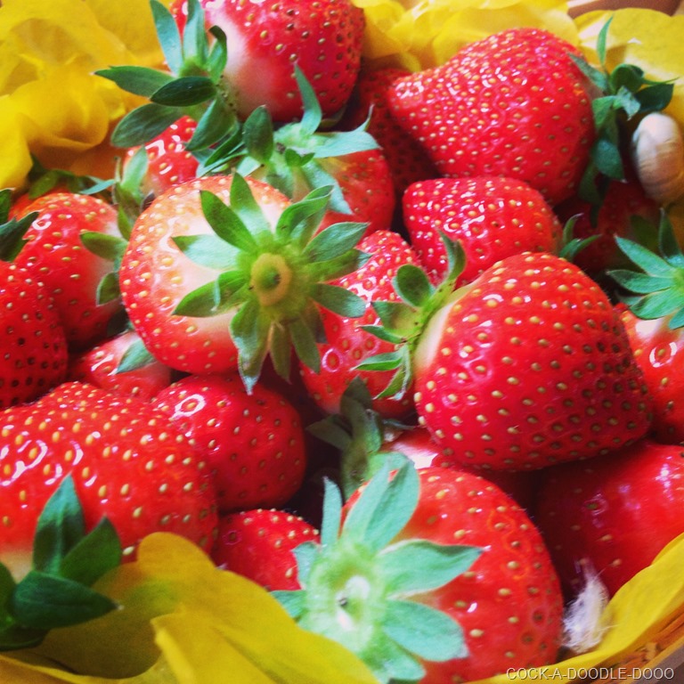 [IMG_1450%255B7%255D.jpg]