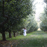 IMG_8652.JPG