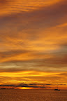 DSC03141.JPG