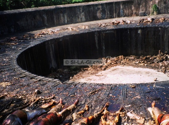 Mummification body in Tower of Silence 01