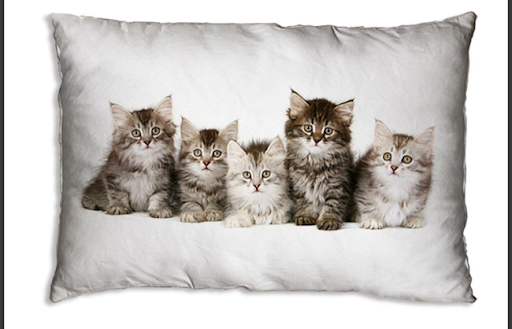 Alexandrite Kittens Cushion