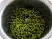 IMG_6646 IMG_6646