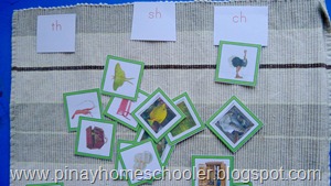 Green Series Picture Sorting