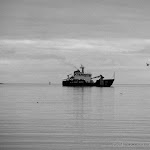 IMG_5923.jpg