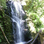 P1000768.JPG