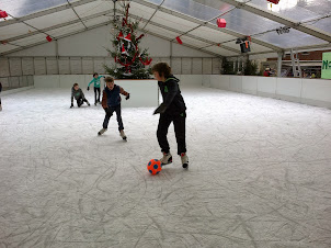 2013-12-10 Natuursporten