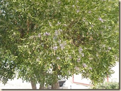 P3050001 P3050001