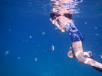 DSCN0260.JPG