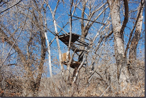 DSC_0953 DSC_0953