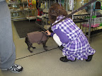 As usual, we Frenchies were very popular with the customers, even though we weren't for sale.