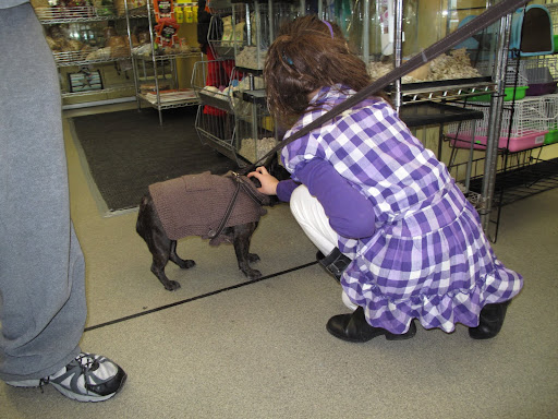 As usual, we Frenchies were very popular with the customers, even though we weren't for sale.