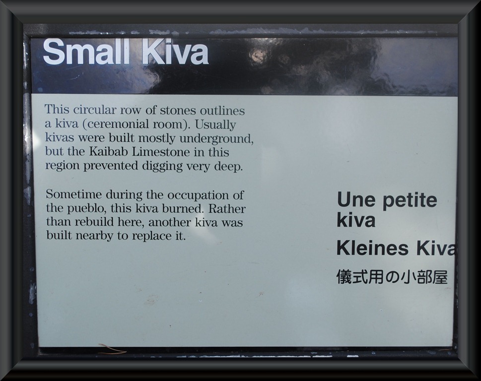 [DSC_01615.jpg]