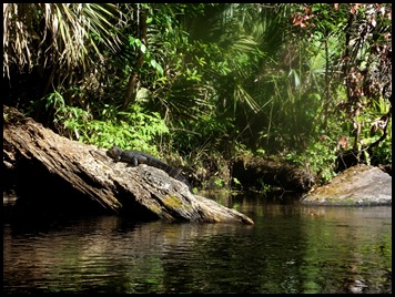 Wekiwa Springs State Park (151)