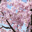 DSC02611.JPG