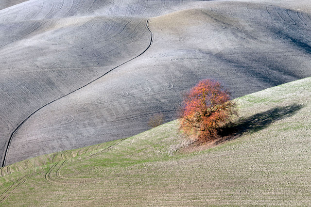 Prosta_2N_Ivan_Maffi_B1_Toskana 3.jpg