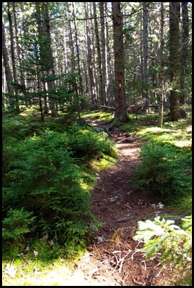 TNC hike, Pretty Marsh picnic, Bernard, Bass Harbor Light 023