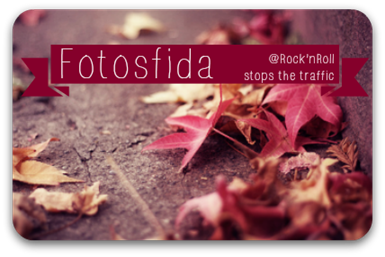 fotosfida banner