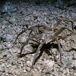 IMAG0332.jpg
