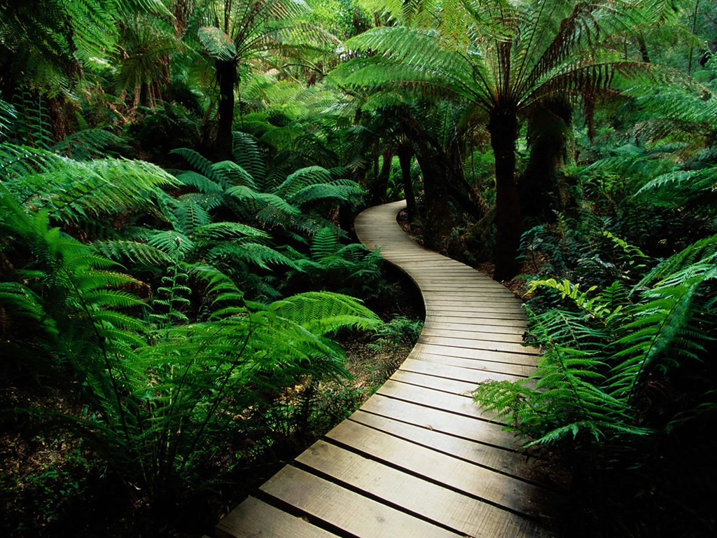 [nature%2520photos%255B2%255D.jpg]