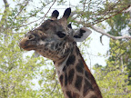 South Luanga Nationalpark