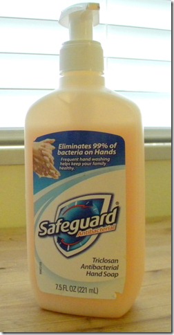 safeguard safeguard