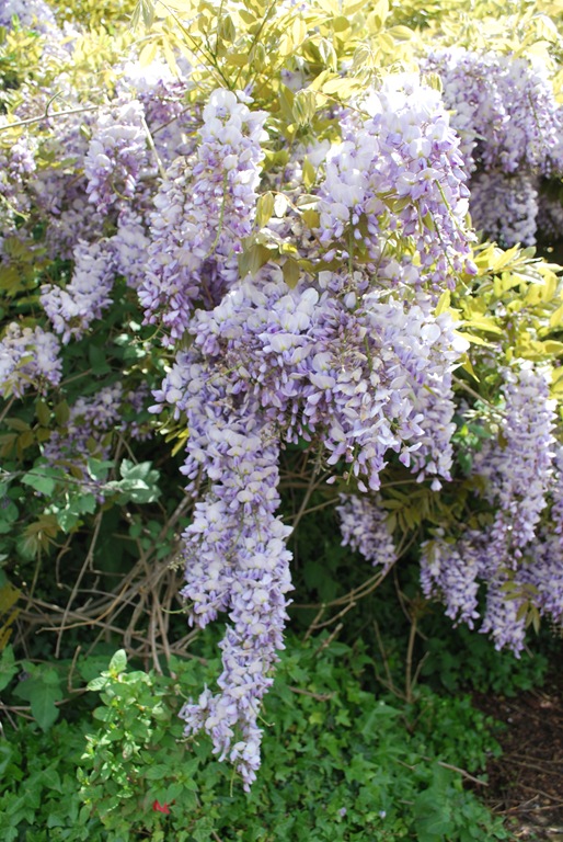 [DSC_0619%255B7%255D.jpg]