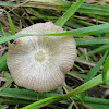 dsc01235.jpg