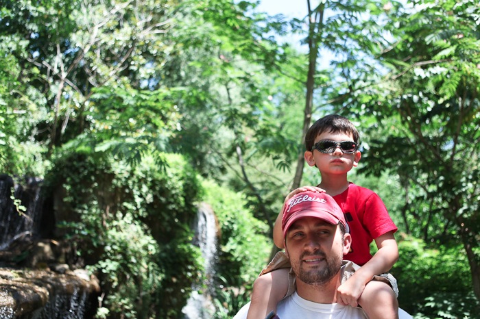 Zoo 4