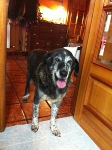 IMG_0503 IMG_0503