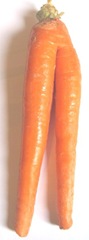 carrot legs