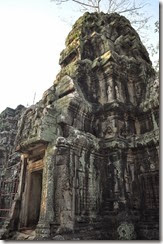 Cambodia Angkor Ta Prohm 131226_0468