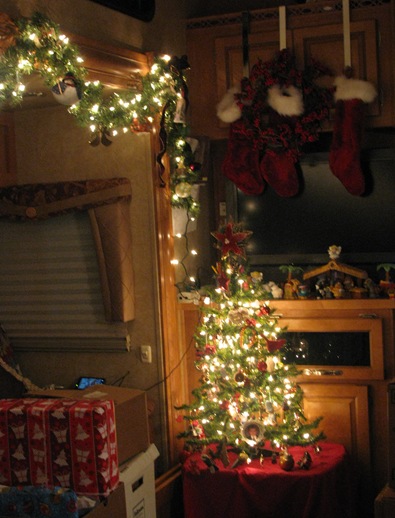 IMG_3678 IMG_3678