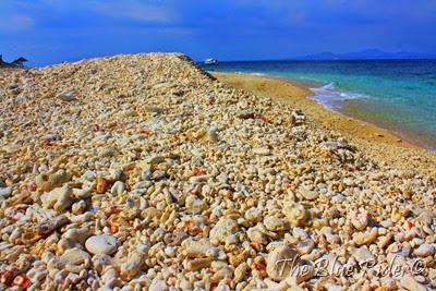 IMG_1810 IMG_1810