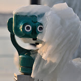 Genève, un froid de canard