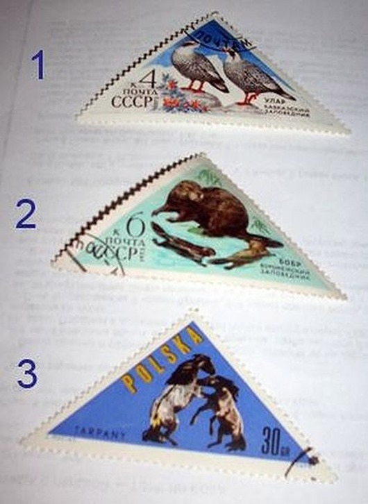 clip_image006