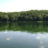 dsc03834.jpg