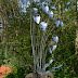 Object: 00727 - Ben Hoezen - Roestvrijstaal - 170 cm - € 8300,=