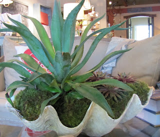 Large Clam Shell $850.00