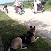 Bandit_Nähe_Radfahrer_1.jpg