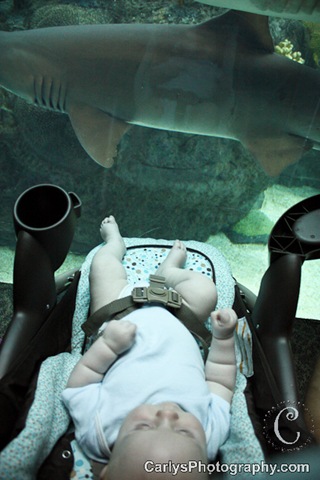 [flaquarium7of11.jpg]