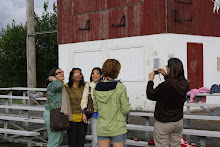 IMG8160-XL