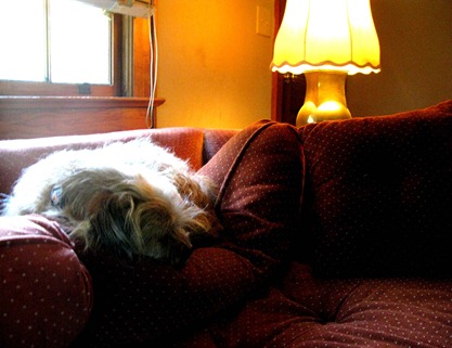 good night gracie