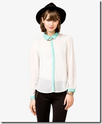 Sheer Chiffon Shirt Sheer Chiffon Shirt