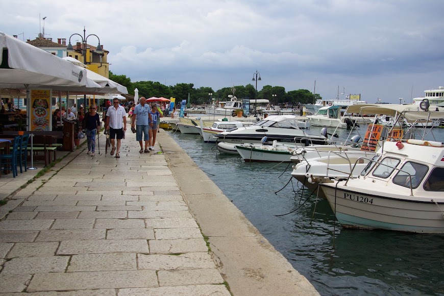 IMGP4334.JPG